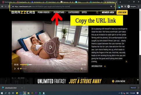 dorothy dot harris recommends Brazzers Free Online Videos