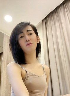 dewi mulia recommends ladyboy ann pic