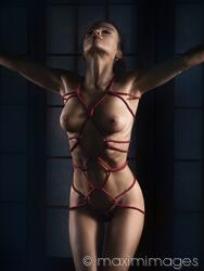 betsy foss recommends Nude Shibari