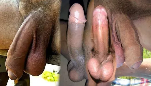 aadi recommends twinks with erections pic