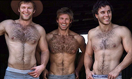 barbara loose recommends Hairy Twinks Pics