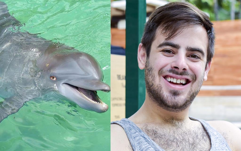 Best of Man fucks dolphin