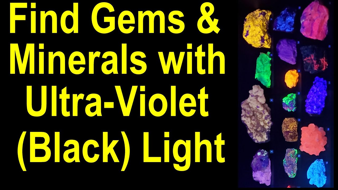 andrew kreuger share violet gems videos photos