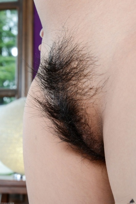 Hairy Asianpussy sex hame