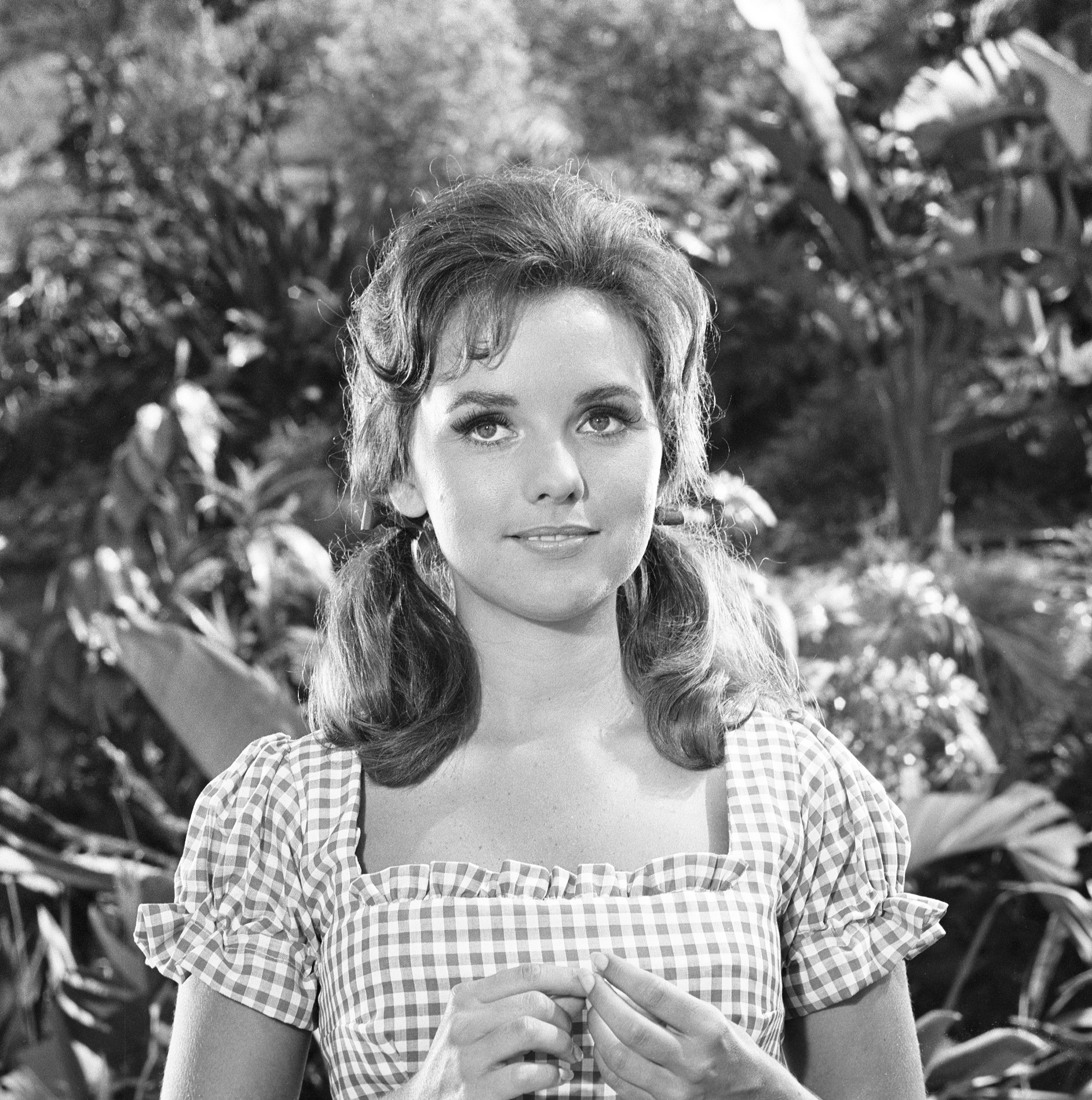 david borunda recommends Dawn Wells Porn