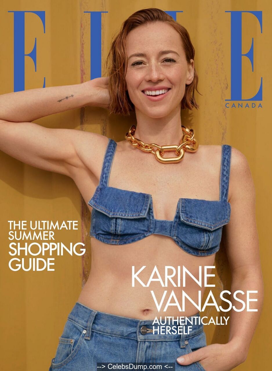 christine dunkin recommends Karine Vanasse Nude