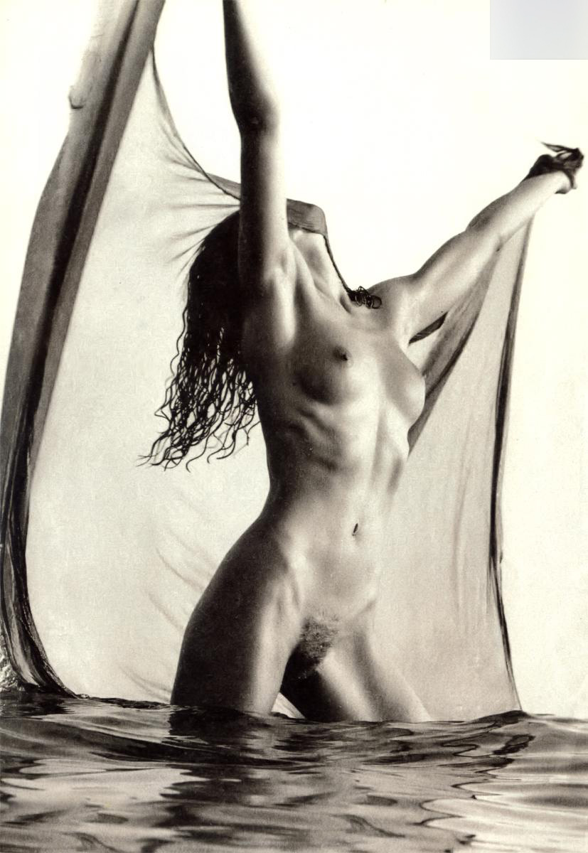 pamela des barres nude