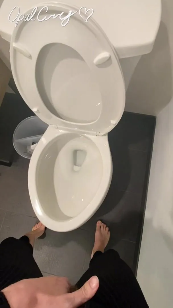 arwin david recommends really long piss at toilet lid porn pic