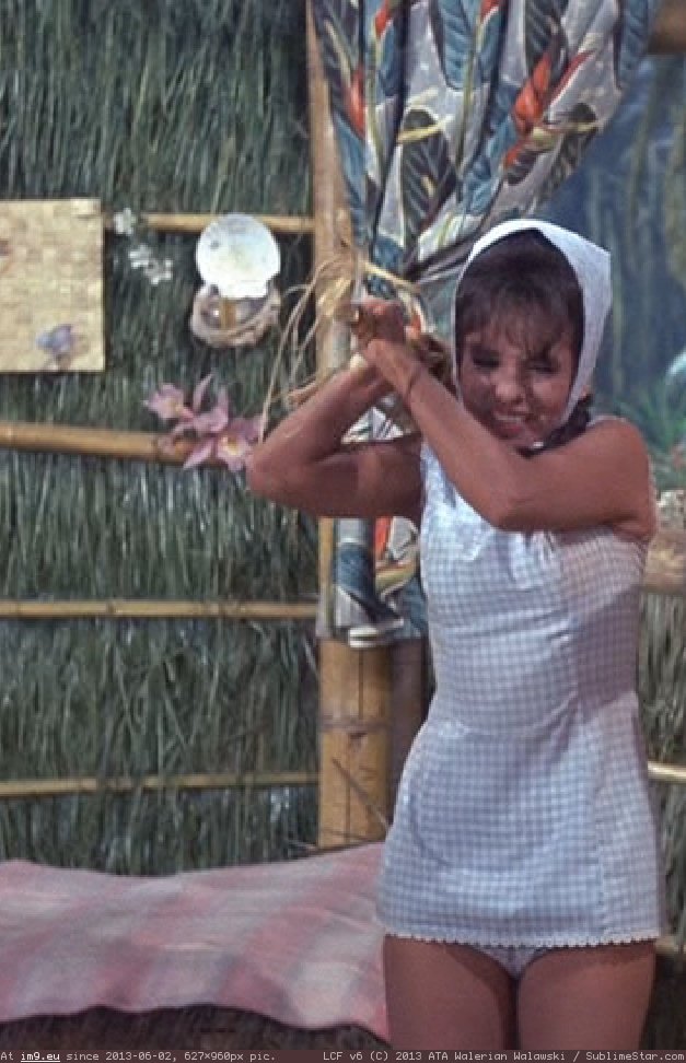 andi aso add photo dawn wells porn