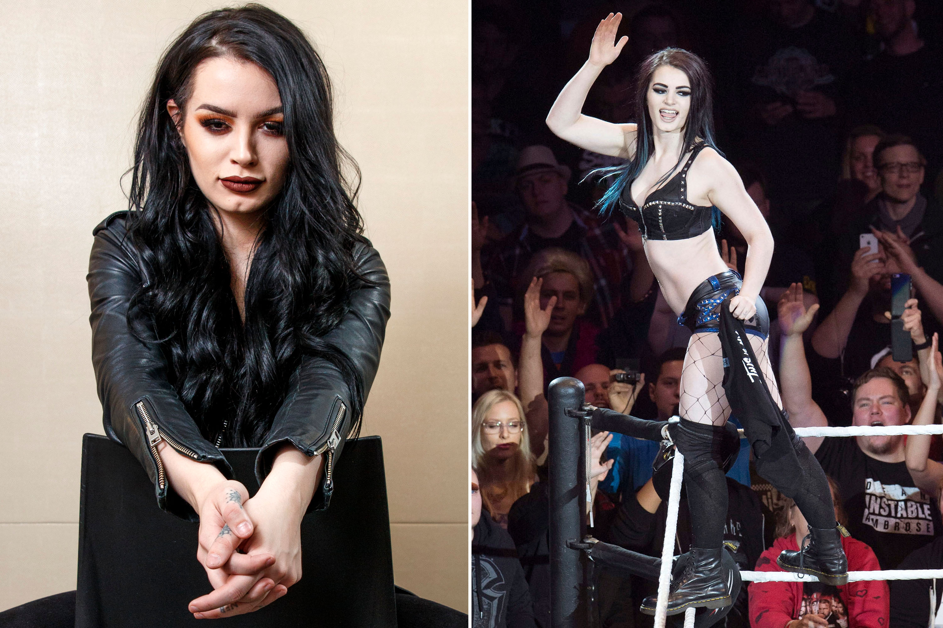 abo elzoz add wwe paige porn photo