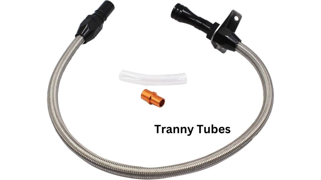 chanpreet sethi recommends free trany tube pic