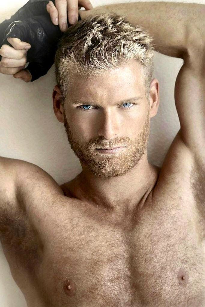 amr aali recommends Hairy Blond Men Naked