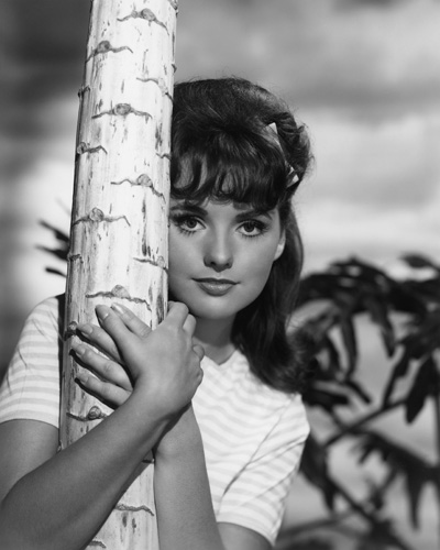 Best of Dawn wells porn