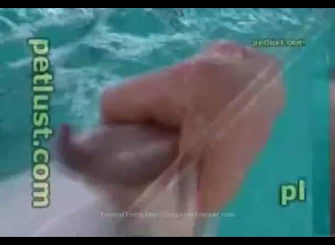 don delach recommends Man Fucks Dolphin