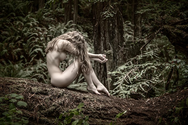 andrew huante recommends nude forest pic