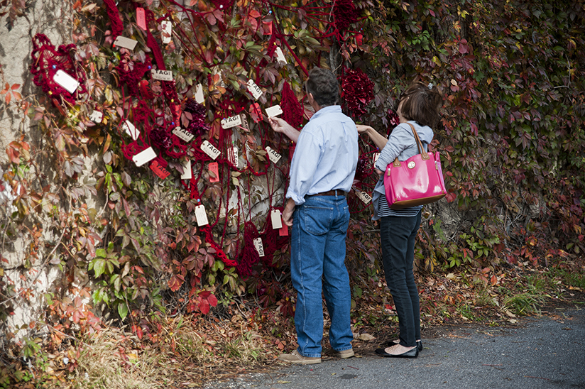 christina dittmar recommends stacy bloom pic